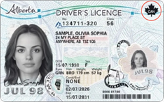 Sample Alberta driver's license (2026)
