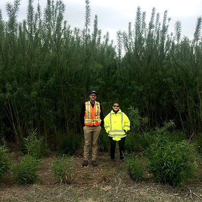 Biosolids and Willow Trees for a Low Carbon Economy: 2022 recipient of the Environment & Sustainability Award Biosolids and Willow Trees for a Low Carbon Economy: 2022 recipient of the Environment & Sustainability Award