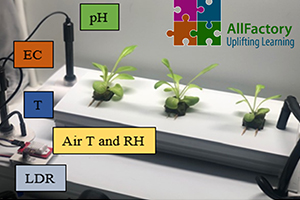 Plants sit in the robotized Aquaponics factory being assessed 