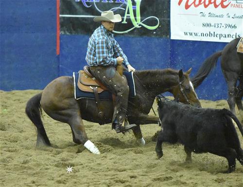 Brian Pearse horse cutting Brian Pearse horse cutting