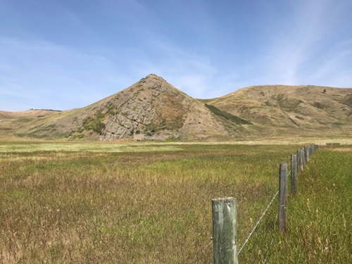 Conglomerate gravel ridge west of Longview, near the Highwood River Conglomerate gravel ridge west of Longview, near the Highwood River