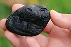 Lignite-R&F-300x200 Lignite