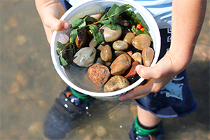 Boy holds a bucket of rocks and stands in shallow river water.
