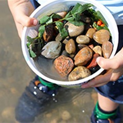 A closeup of a bucket full of interesting rocks held by a small child