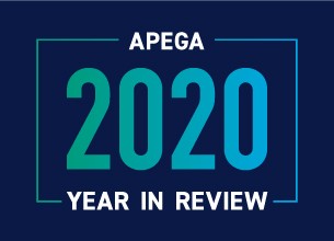 2020-YearInReview