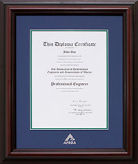 frame-diplomat-satin