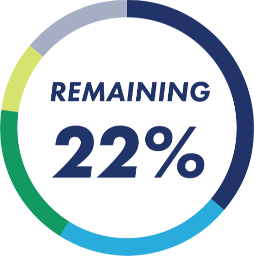 revenue  graphic