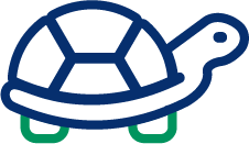 A turtle graphic