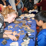 rock-fossil-clinic