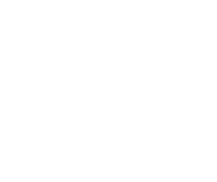 APEGA Logo (White) APEGA Logo, white alternate