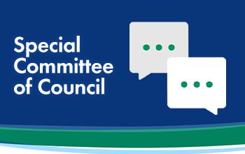 Special Committee of Council