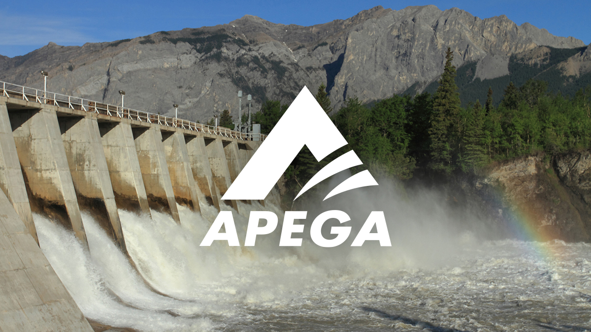 The Association of Professional Engineers and Geoscientists of Alberta ...