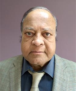 Veera Iyer, P.Eng. Veera Iyer, P.Eng.