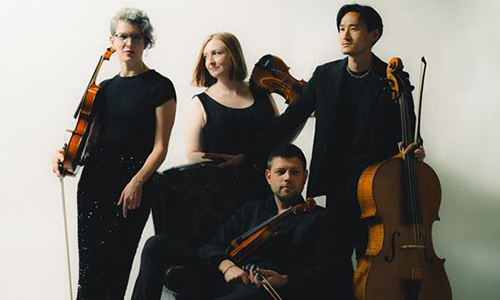 StringBeans Summit artist