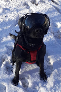 Peggy is geared up in her PPE