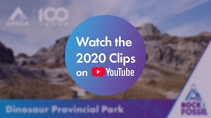 Watch the 2020 Rock & Fossil videos on YouTube